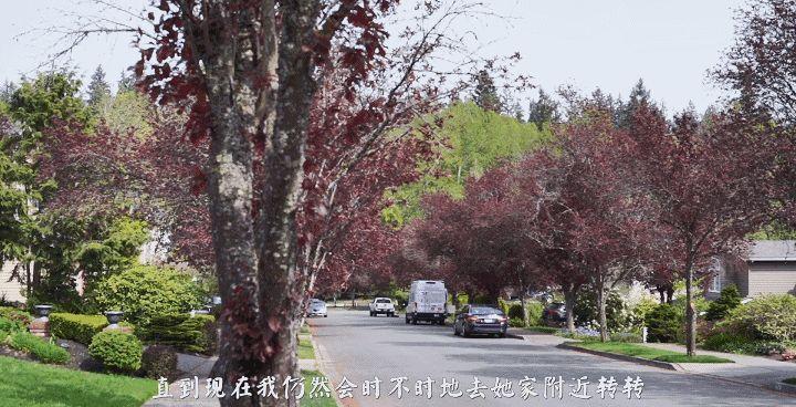 骚妇培训计划直播视频合集 29V/21.39G 骚妇培训计划直播视频合集 29V/21.39G