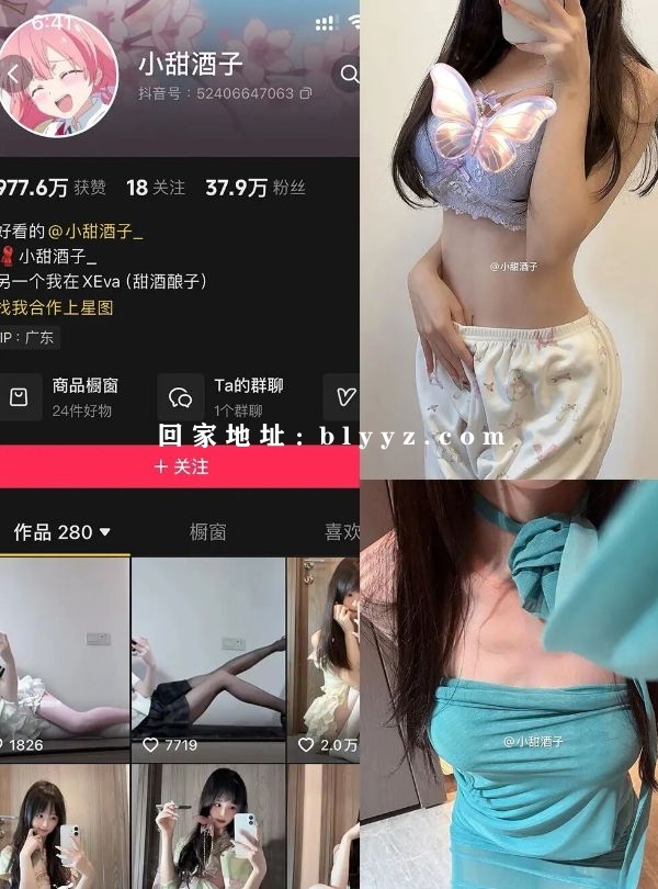 抖音 小甜酒子 铁粉空间订阅合集 536P/27V/552M